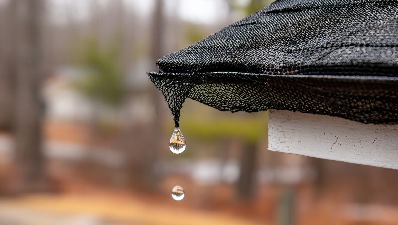 Increase Your Exterior Painting Business with an AI Driven, Targeted Website